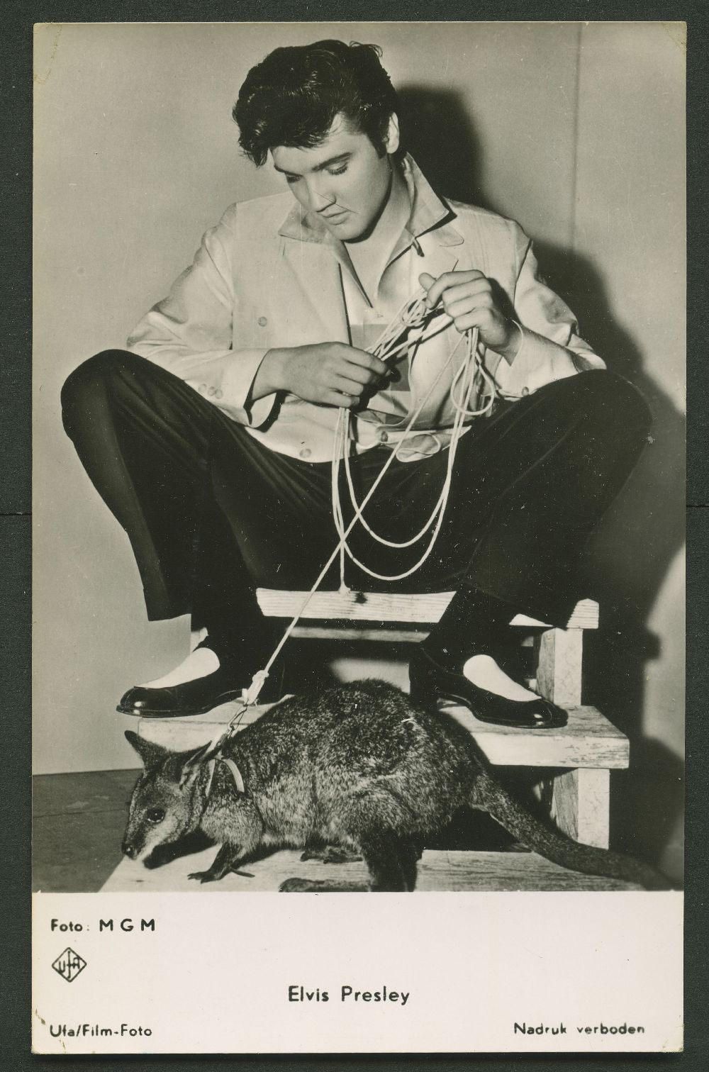 (image for) Elvis Presley #2869